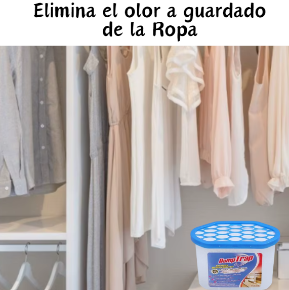 Anti Humedad X4